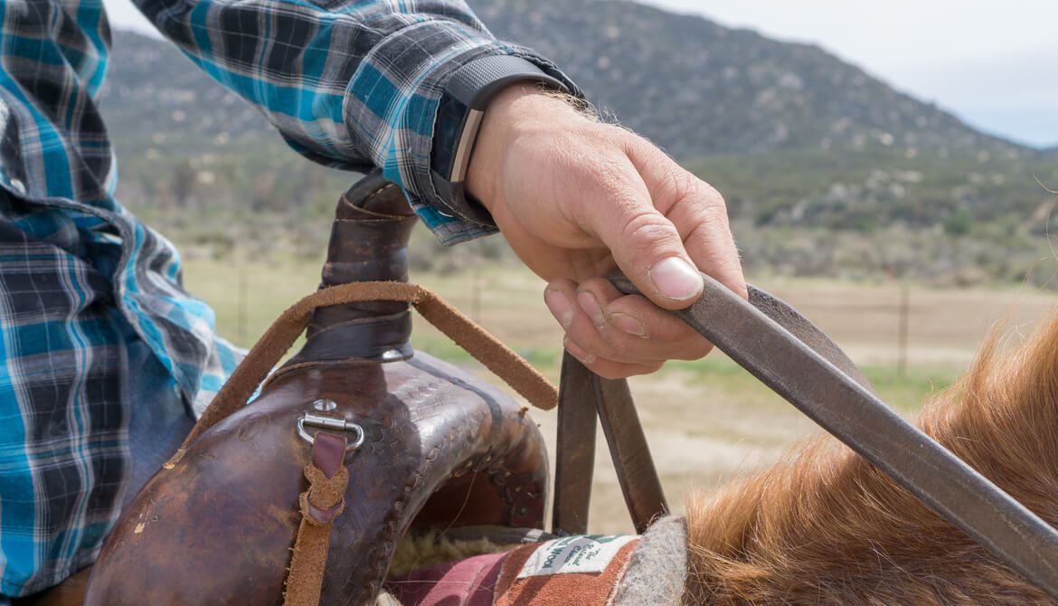 person in a saddle holding reins to a horse