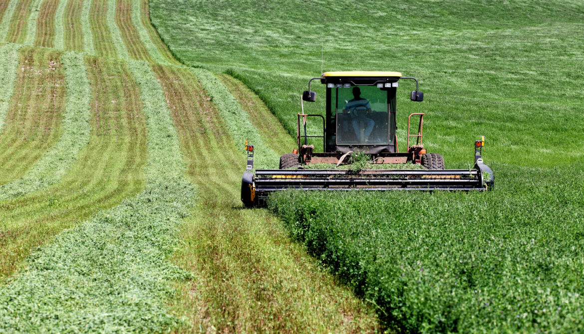 tractor cutting field