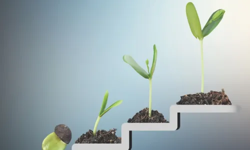seeds sprouting and growing taller on a set of upward climbing steps