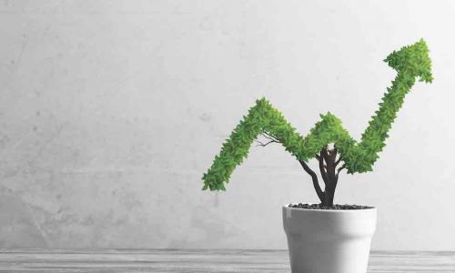 A green topiary plant in the shape of an increasing bar chart inside a white pot sits on a wooden table