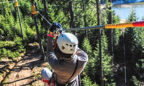 woman riding down zip line over pine trees