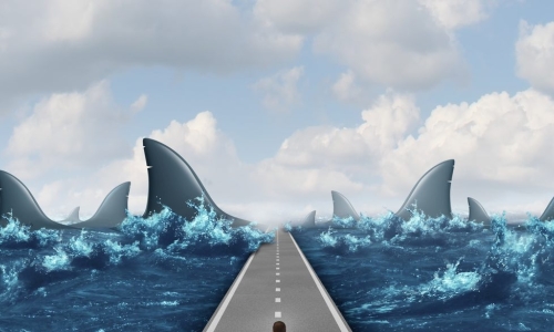 executive walking the planning road with an ocean of sharks on both sides