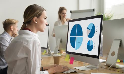 young business woman working with data on a computer