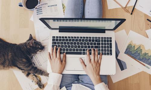 employee works on floor with laptop next to lounging cat and surrounded by papers