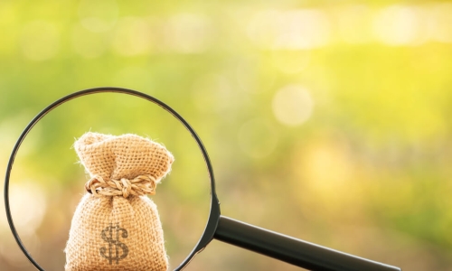 magnifying glass over burlap bag
