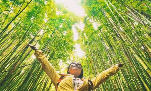 ecofriendly tourist with arms up in the forest