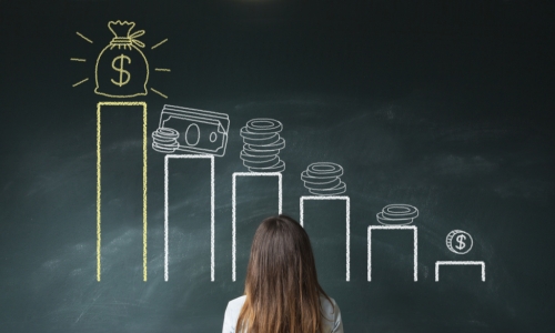 woman looking at chart with money