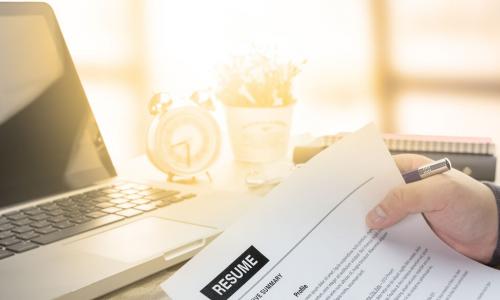 hand with pen holding a printed resume to review in sunny office