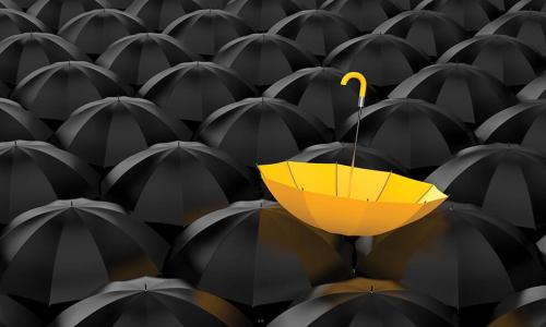 yellow umbrella upside down on a field of open black umbrellas