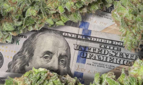 marijuana covering most of a five dollar bill