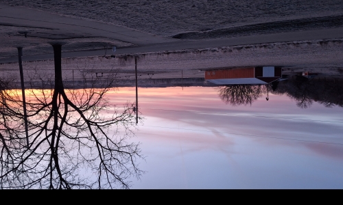 sunrise in my front yard